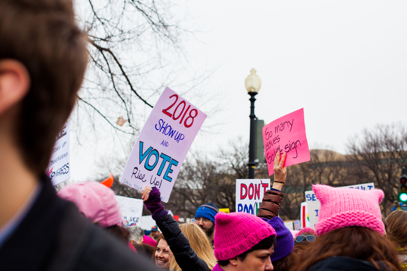 Illustration for article titled WOMEN'S MARCH ON WASHINGTON : THE SIGNS